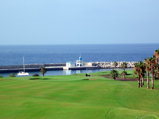amarilla golf