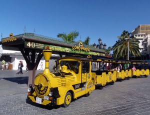 Tren Loro Parque