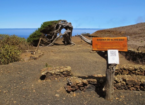 El-Sabinar-El-Hierro-01