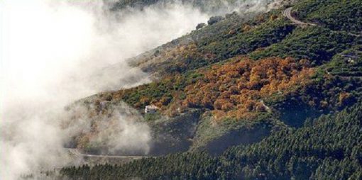 Arafo – Paisaje Protegido de Las Siete Lomas. Autor: laspain.com