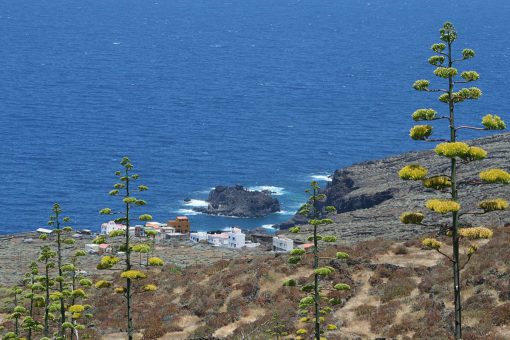 Las Calcosas. Fotografía: Casacanarias [CC BY-SA 4.0]