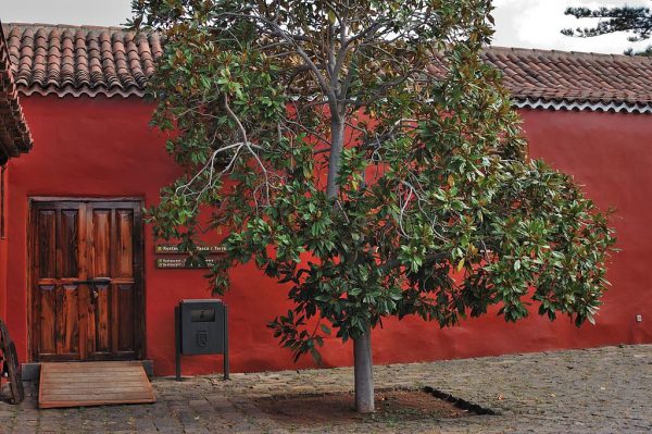 Museo Casa del Vino La Baranda.