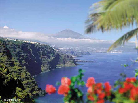guia%20de%20canarias