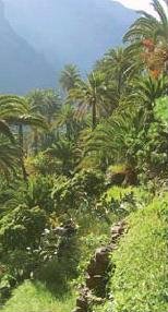 La Gomera