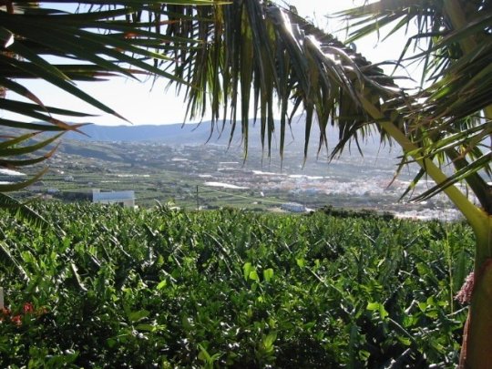 Vista de Los Llanos de Aridane