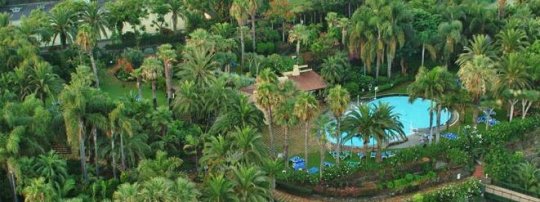 Vista Jardín Sub-Tropical