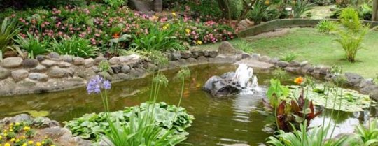 Jardín