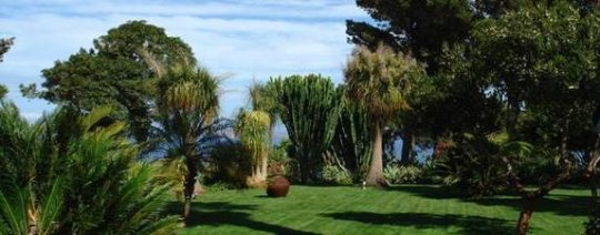 Jardines