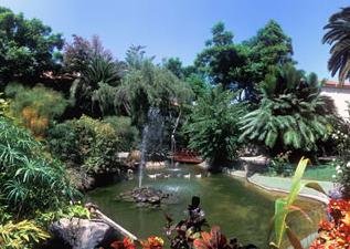 Vista jardines tropicales