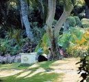 Jardines
