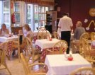 Servicio de comedor