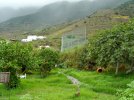 Frutales y huertas