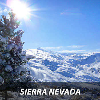 Sierra Nevada