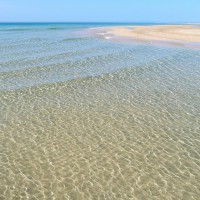 hoteles fuerteventura