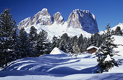 250px-Sasso_lungo_da_passo_pordoi.jpg