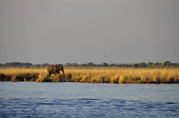 botswana .jpg