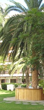 Extensos y cuidados jardines en los Apartamentos Teide Mar