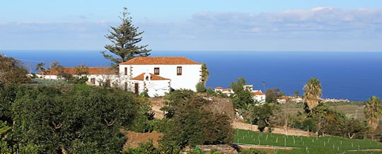 Finca Saroga